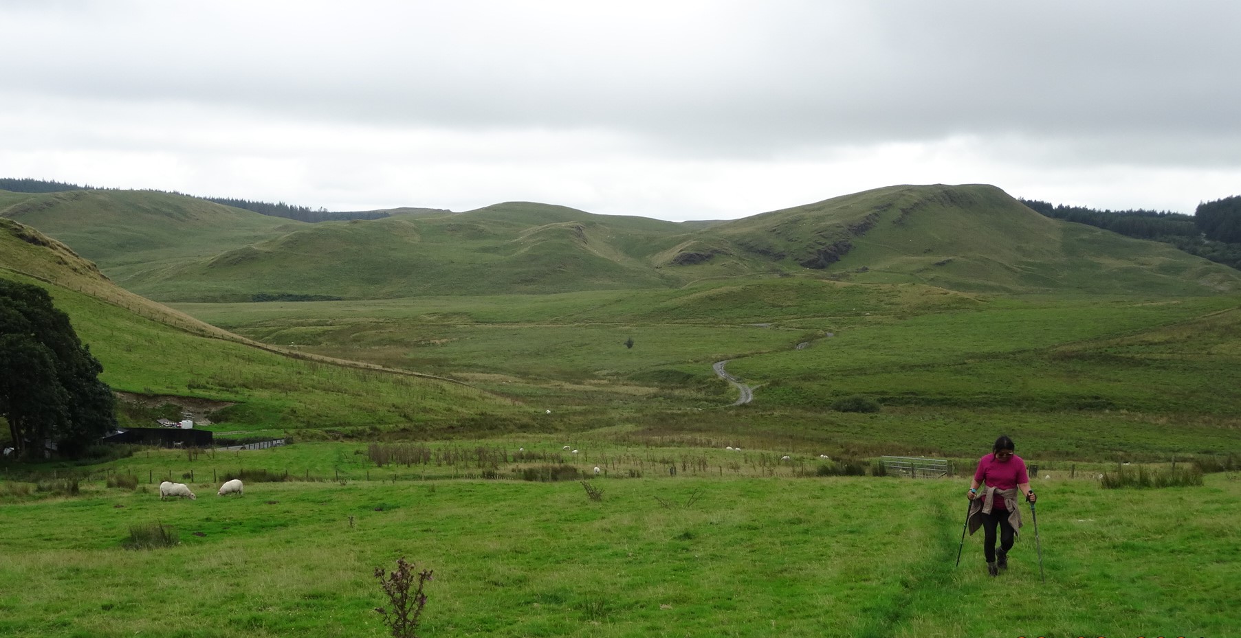 RachelSeabrook.net | Wild Walking | Disgwylfa-Fawr | pic17